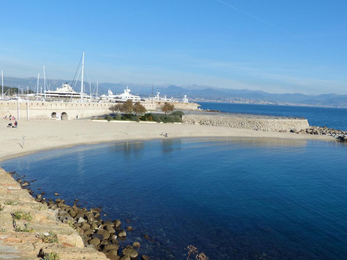 Appartement Port Prestige - Terrasse - Piscine - Parking 昂蒂布 外观 照片